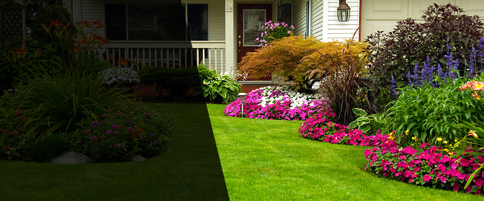 Nevada City Landscapers