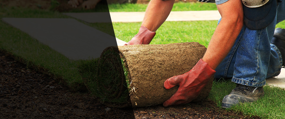 Nevada City Landscapers